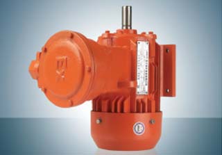 YB2 Series Flameproof Three-Phase Asynchronous Motor